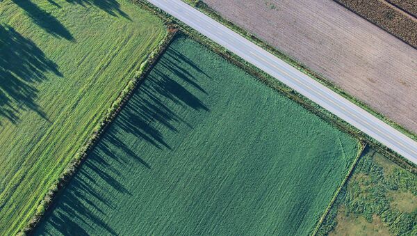 La vista aérea de un campo - Sputnik Mundo