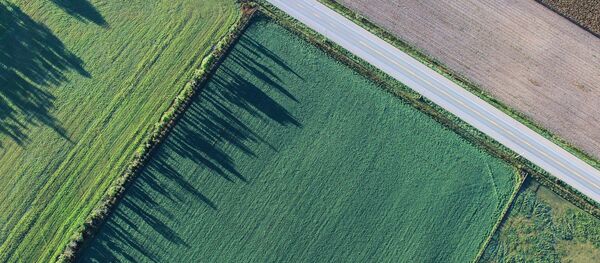 La vista aérea de un campo - Sputnik Mundo