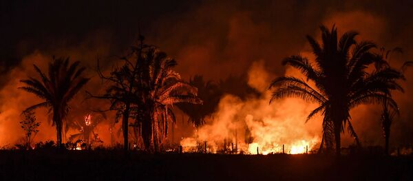 Incendios forestales en la Amazonía brasileña - Sputnik Mundo