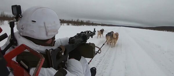 Los militares rusos aprenden a montar en trineos tirados por huskis - Sputnik Mundo