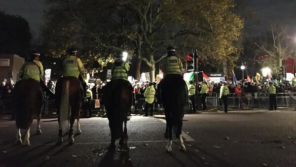 Protestas en Londres, Reino Unido Protestas en Londres, Reino Unido - Sputnik Mundo