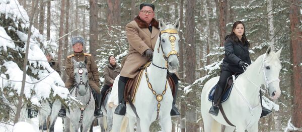 Kim Jong-un montado sobre un corcel blanco - Sputnik Mundo