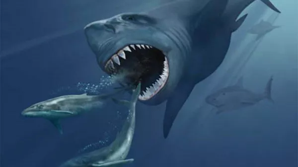 Impresión artística de un megalodón persiguiendo dos ballenas barbadas - Sputnik Mundo