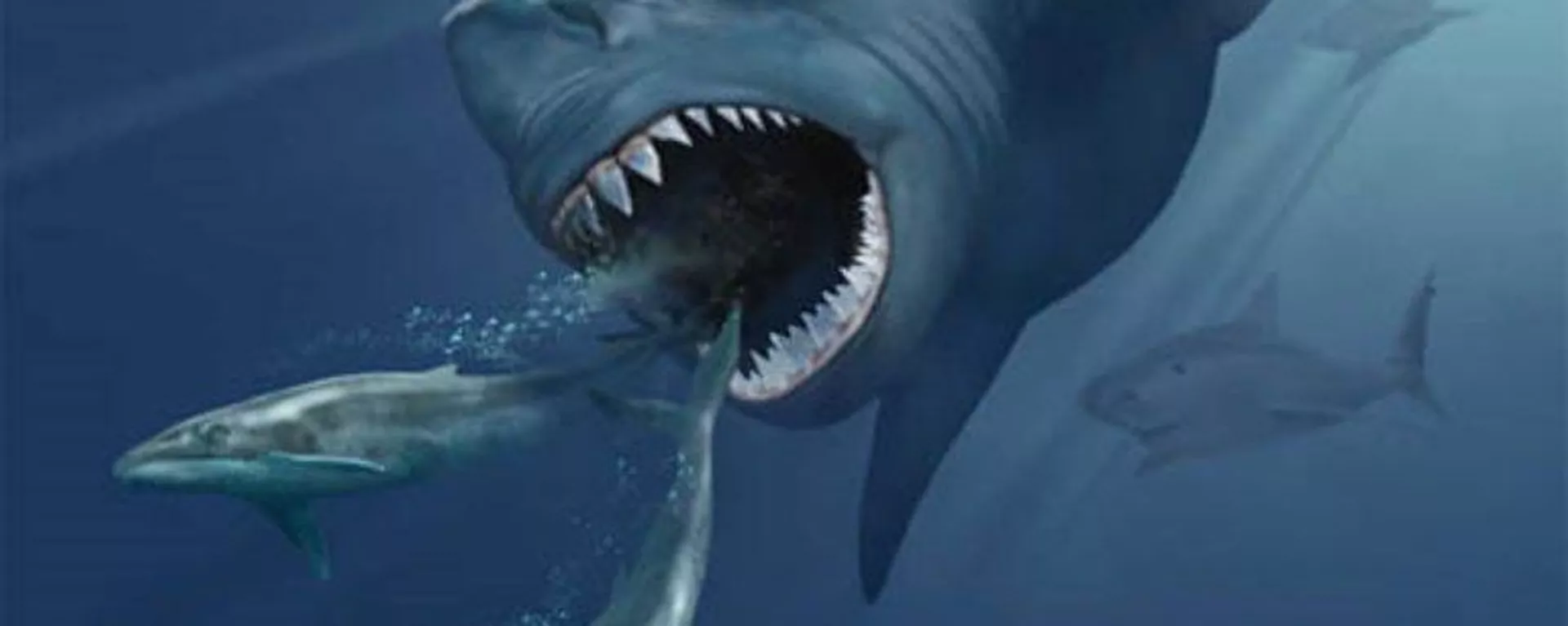 Impresión artística de un megalodón persiguiendo dos ballenas barbadas Impresión artística de un megalodón persiguiendo dos ballenas barbadas - Sputnik Mundo, 1920, 05.09.2020