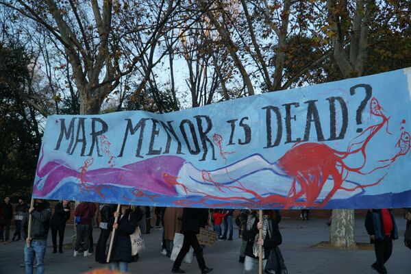 Activistas climáticos salen a las calles para protestar durante la COP25  - Sputnik Mundo
