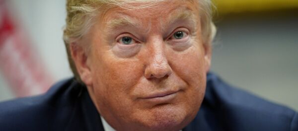 Donald Trump, presidente de Estados Unidos - Sputnik Mundo