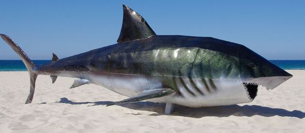 Una escultura de tiburón Una escultura de tiburón - Sputnik Mundo