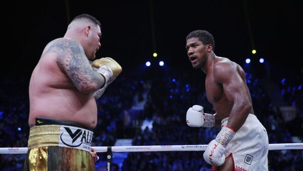 La pelea entre Andy Ruiz y Anthony Joshua - Sputnik Mundo