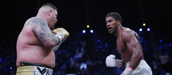La pelea entre Andy Ruiz y Anthony Joshua - Sputnik Mundo