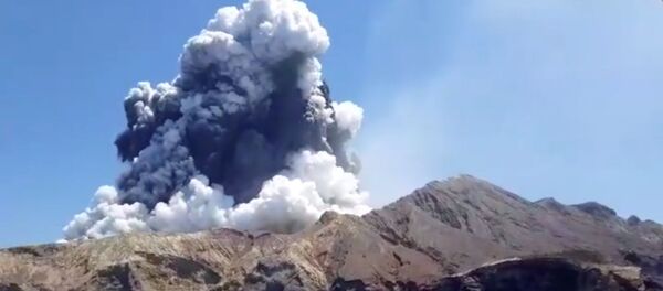 El volcán de la isla Whakaari (White Island) de Nueva Zelanda El volcán de la isla Whakaari (White Island) de Nueva Zelanda - Sputnik Mundo