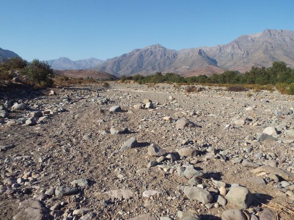 Cuando la sequía y el saqueo se cruzan: la crisis del agua en Chile es catastrófica - Sputnik Mundo