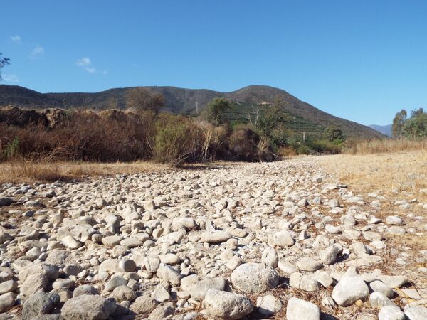 Cuando la sequía y el saqueo se cruzan: la crisis del agua en Chile es catastrófica - Sputnik Mundo