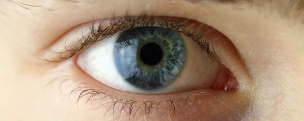 Un ojo (imagen referencial) - Sputnik Mundo