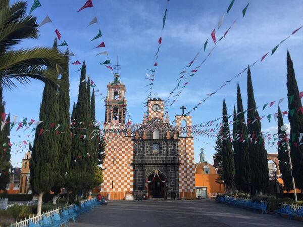 Peregrinos mexicanos viajan a pedir trabajo y salud a la Virgen de Guadalupe - Sputnik Mundo