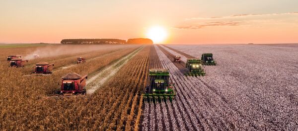 Cosechadoras (imagen referencial) - Sputnik Mundo