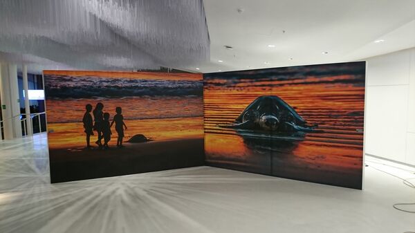 Canciller nicaragüense abre exposición en Rusia dedicada a 75 años de lazos diplomáticos - Sputnik Mundo