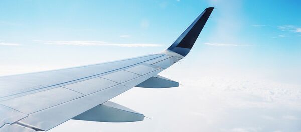 Ala de avión - Sputnik Mundo