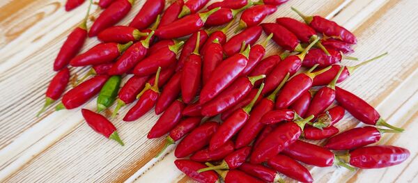 Chile picante Chile picante - Sputnik Mundo