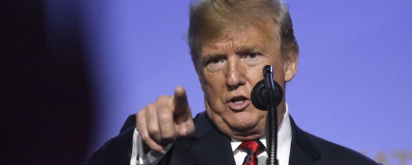 Donald Trump, presidente de EEUU - Sputnik Mundo