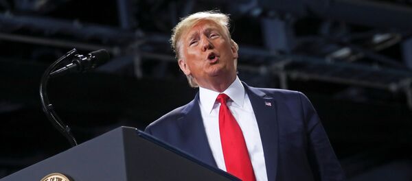 Donald Trump, el presidente de EEUU - Sputnik Mundo