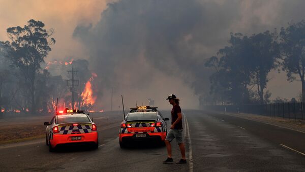 Incendios forestales en Australia - Sputnik Mundo