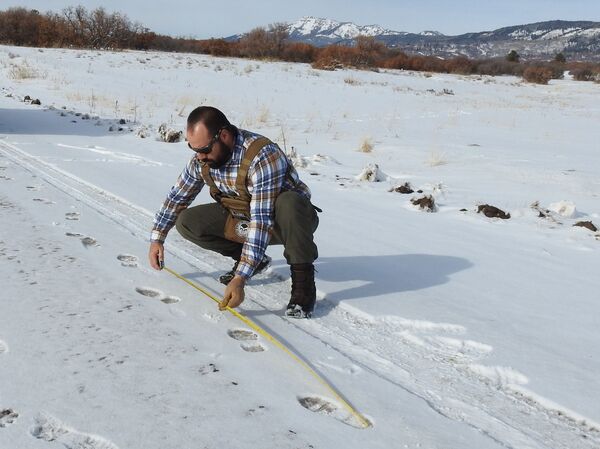 El español que luchó por proteger las reservas sagradas Apache en Nuevo México El español que luchó por proteger las reservas sagradas Apache en Nuevo México - Sputnik Mundo