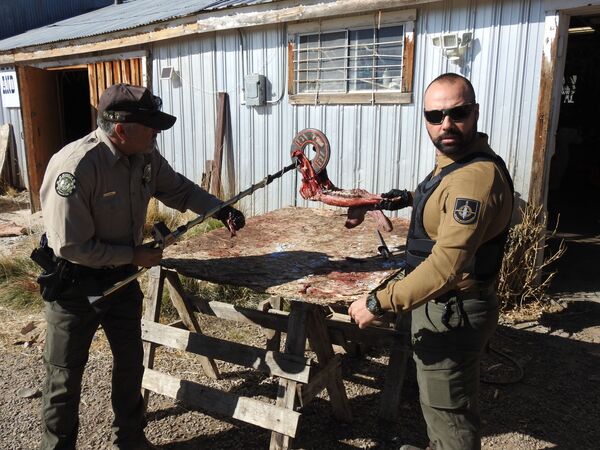 El español que luchó por proteger las reservas sagradas Apache en Nuevo México El español que luchó por proteger las reservas sagradas Apache en Nuevo México - Sputnik Mundo