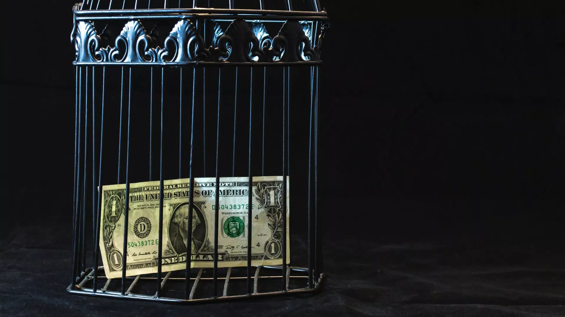 Un billete de dólar en una jaula Un billete de dólar en una jaula - Sputnik Mundo, 1920, 05.04.2022