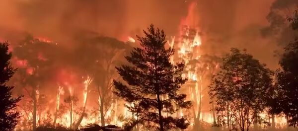 Incendios forestales en Australia - Sputnik Mundo