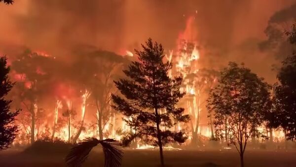 Incendios forestales en Australia - Sputnik Mundo