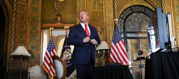 Donald Trump, el presidente de EEUU - Sputnik Mundo