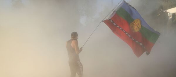 Un manifestante agita una bandera mapuche durante una protesta contra el Gobierno de Chile en Santiago Un manifestante agita una bandera mapuche durante una protesta contra el Gobierno de Chile en Santiago - Sputnik Mundo