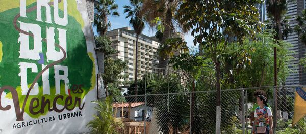 Huerto organoponico Bolívar 1 busca traer parte de la cultura de la siembra a la ciudad - Sputnik Mundo