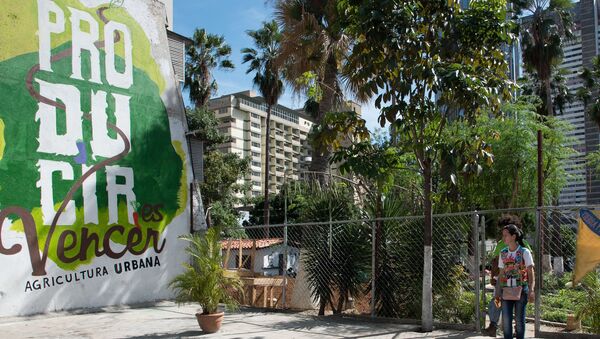 Huerto organoponico Bolívar 1 busca traer parte de la cultura de la siembra a la ciudad - Sputnik Mundo