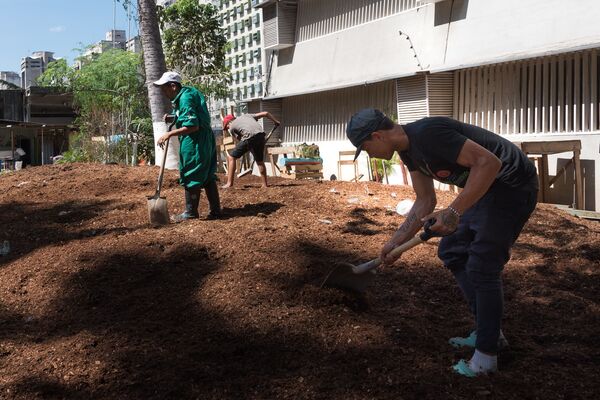 El campo en la ciudad, un plan de agricultura urbana en el corazón de Caracas | Fotos El campo en la ciudad, un plan de agricultura urbana en el corazón de Caracas | Fotos - Sputnik Mundo
