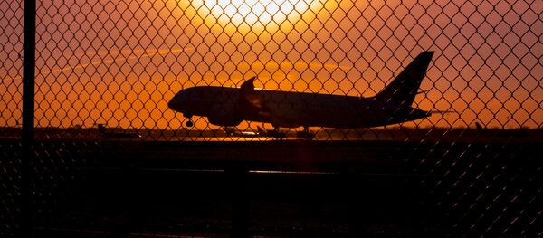 Un avión - Sputnik Mundo