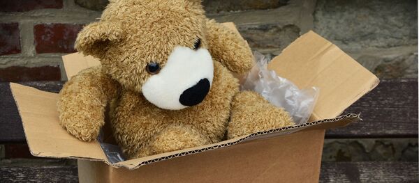Un oso de peluche en una caja - Sputnik Mundo