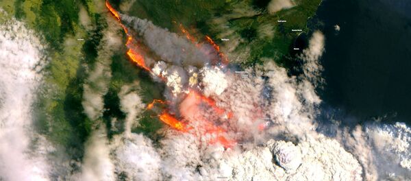 Una vista satelital de los incendios en Australia - Sputnik Mundo