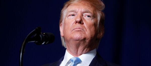 Donald Trump, presidente de EEUU Donald Trump, presidente de EEUU - Sputnik Mundo