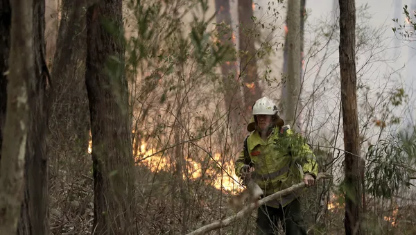 Incendios en Australia - Sputnik Mundo