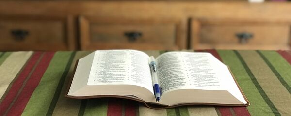 Un libro abierto con un bolígrafo (imagen referencial) Un libro abierto con un bolígrafo (imagen referencial) - Sputnik Mundo