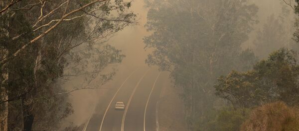 El humo de los incendios forestales en una carretera cerca de Moruya, Australia, el 4 de enero de 2020 - Sputnik Mundo