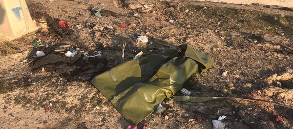 Lugar del siniestro del avión ucraniano cerca del aeropuerto de Teherán - Sputnik Mundo