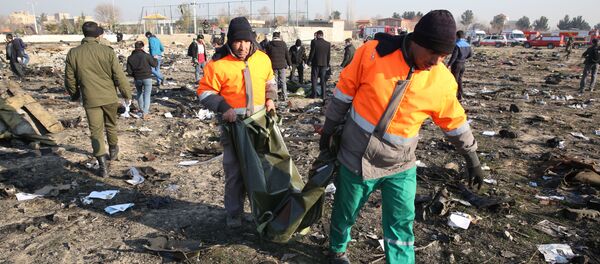 Rescatistas trabajan en el lugar de la catástrofe aérea en Irán - Sputnik Mundo