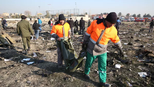 Rescatistas trabajan en el lugar de la catástrofe aérea en Irán
