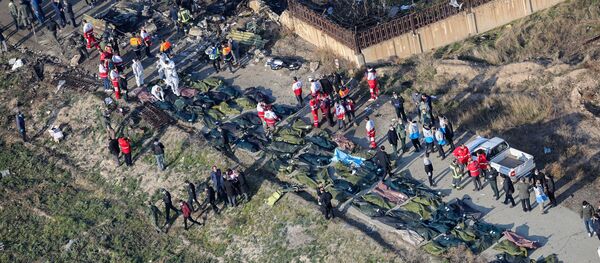 На месте крушения самолета в Иране - Sputnik Mundo