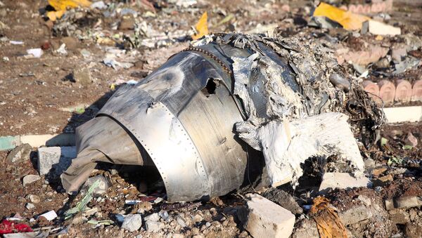 Lugar del siniestro del avión ucraniano cerca del aeropuerto de Teherán - Sputnik Mundo