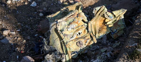 Lugar del siniestro del avión ucraniano cerca del aeropuerto de Teherán - Sputnik Mundo