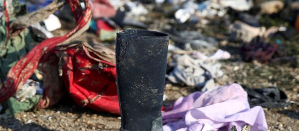 Lugar del siniestro del avión ucraniano cerca del aeropuerto de Teherán, en Irán - Sputnik Mundo