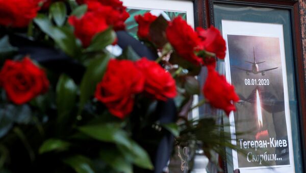 Homenaje a las víctimas  de la catástrofe aérea del avión Boeing 737-800 en Irán - Sputnik Mundo